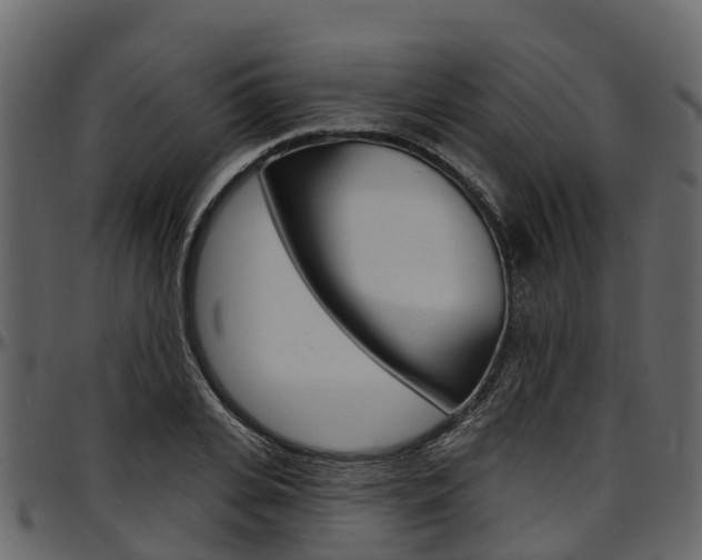 X0000097610935200802290752