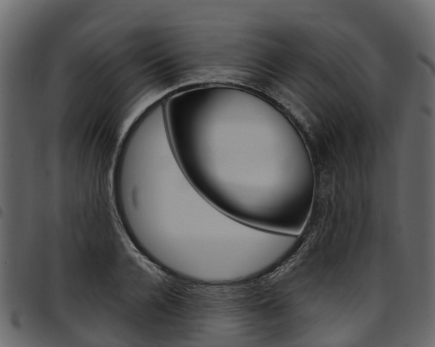 X0000097610936200802290752