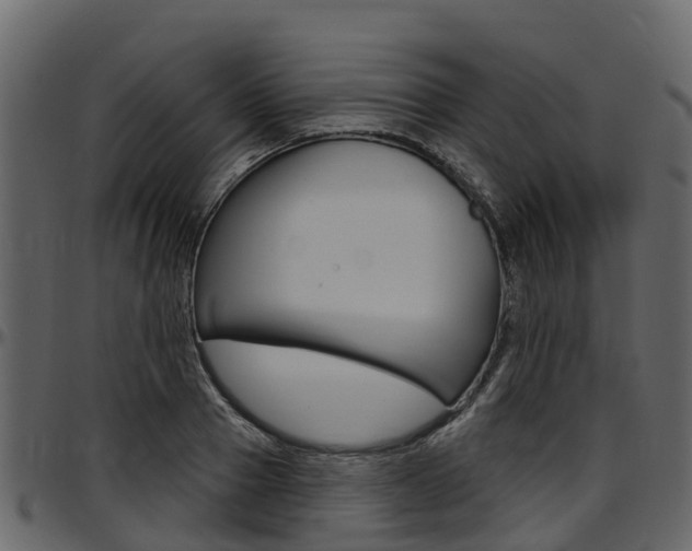 X0000097610937200802290752