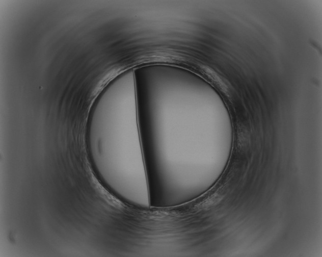 X0000097610938200802290753