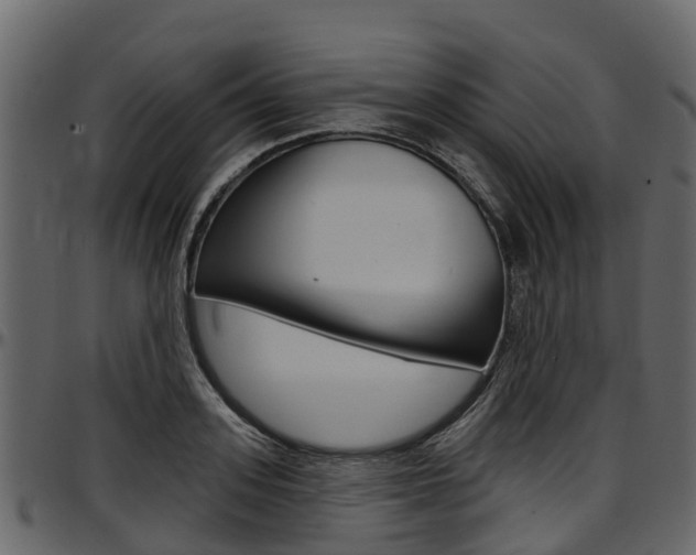 X0000097610939200802290753