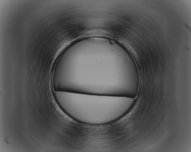 X0000097610941200802290753