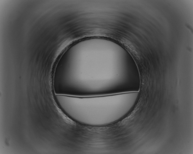 X0000097610942200802290753