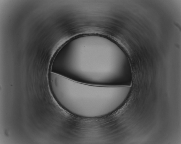 X0000097610943200802290753