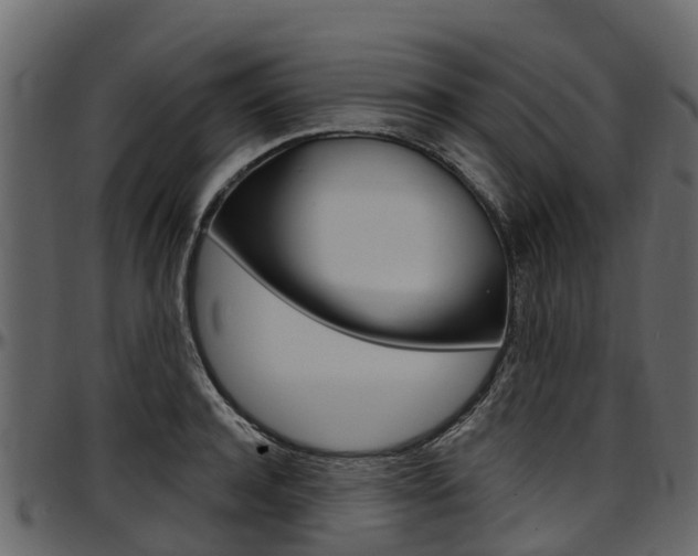 X0000097610944200802290753