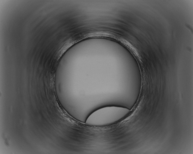 X0000097610945200802290753