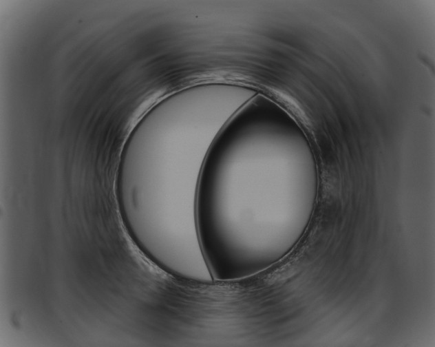 X0000097610946200802290753
