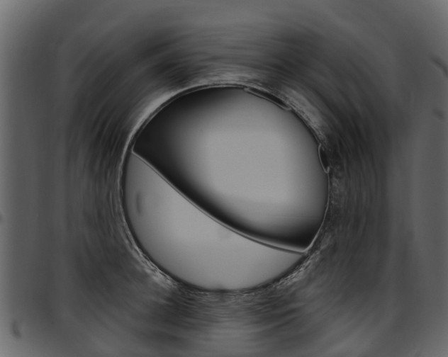 X0000097610948200802290753