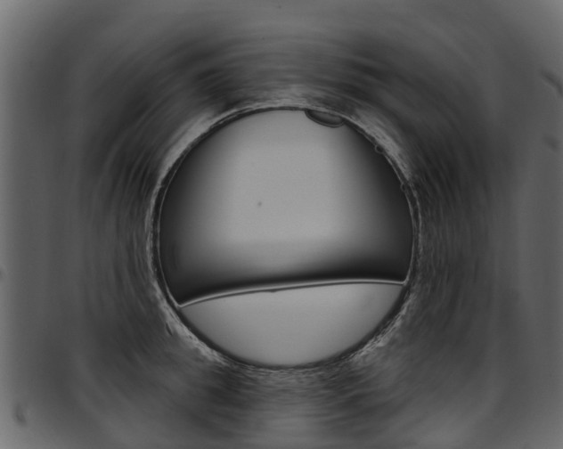 X0000097610949200802290753