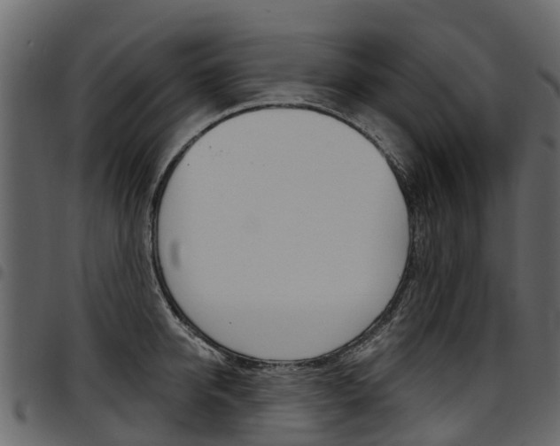 X0000097610950200802290753