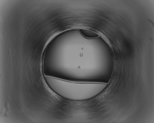 X0000097610955200802290753