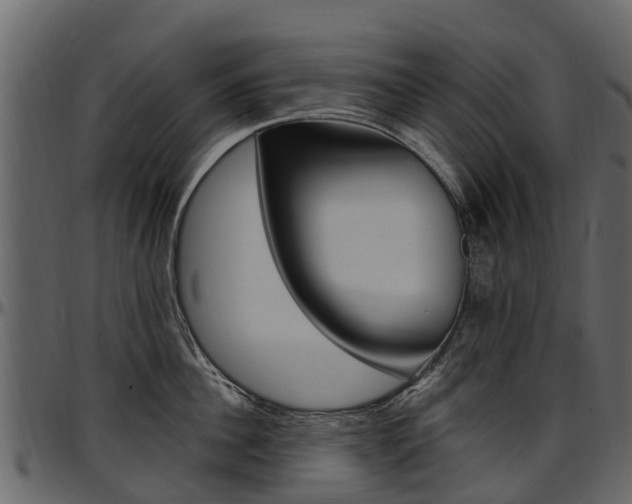 X0000097610956200802290753