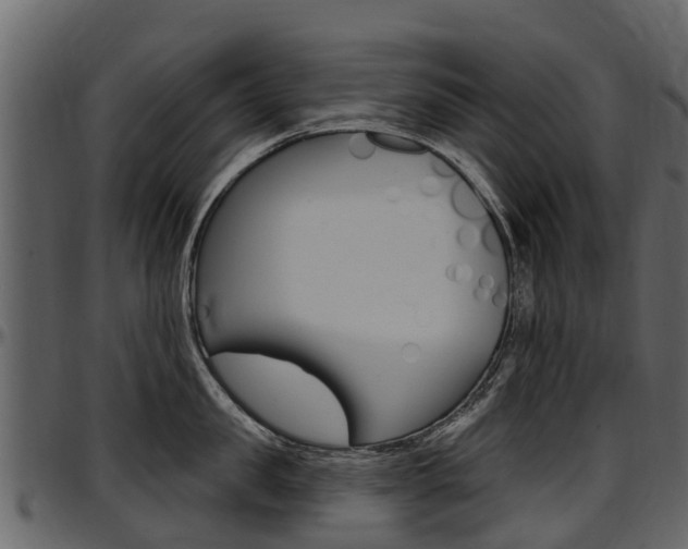 X0000097610957200802290753