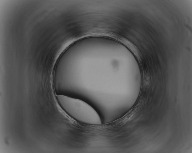 X0000097610958200802290753