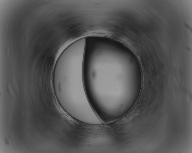 X0000097610960200802290753