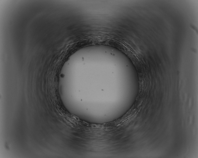 X0000097610961200802290752