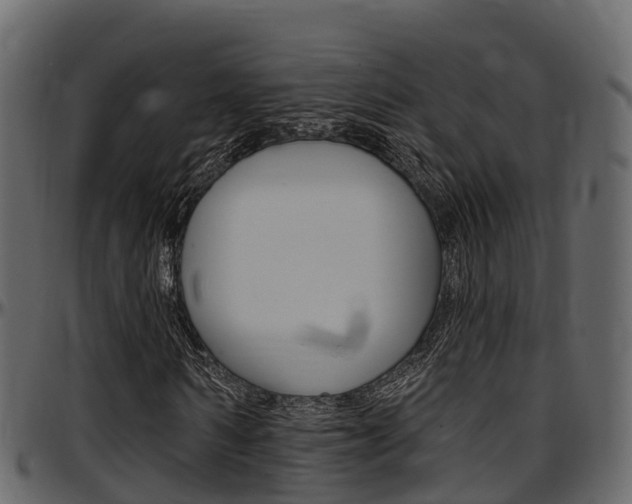 X0000097610962200802290752
