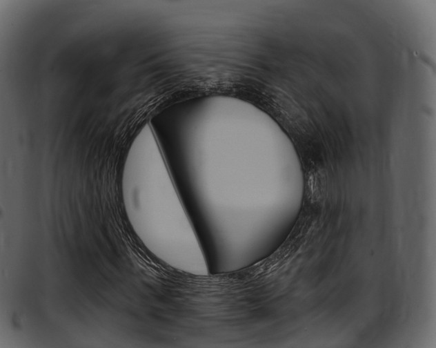 X0000097610963200802290752