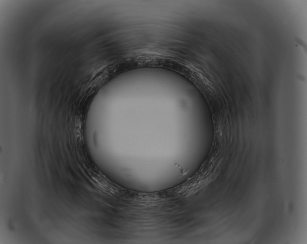 X0000097610964200802290752