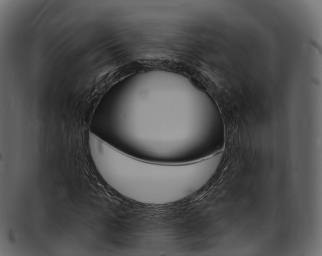 X0000097610965200802290752