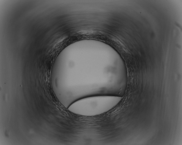X0000097610966200802290752