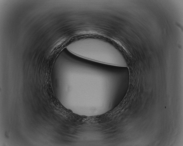 X0000097610967200802290752