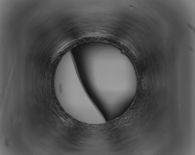 X0000097610968200802290752