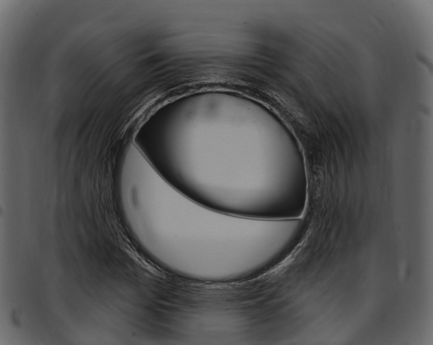 X0000097610969200802290752