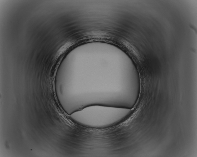 X0000097610970200802290752