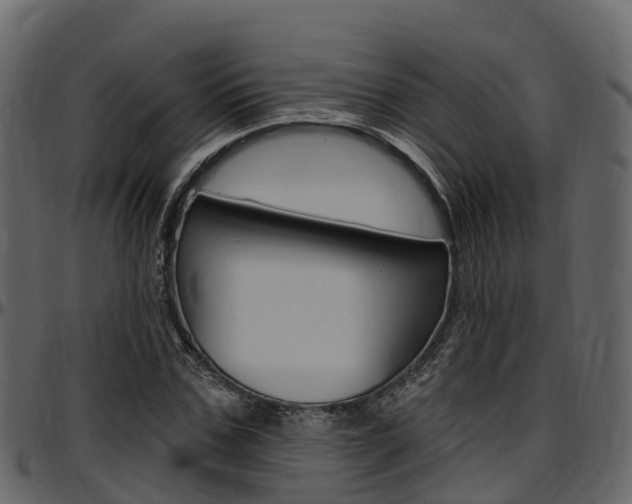 X0000097610971200802290752