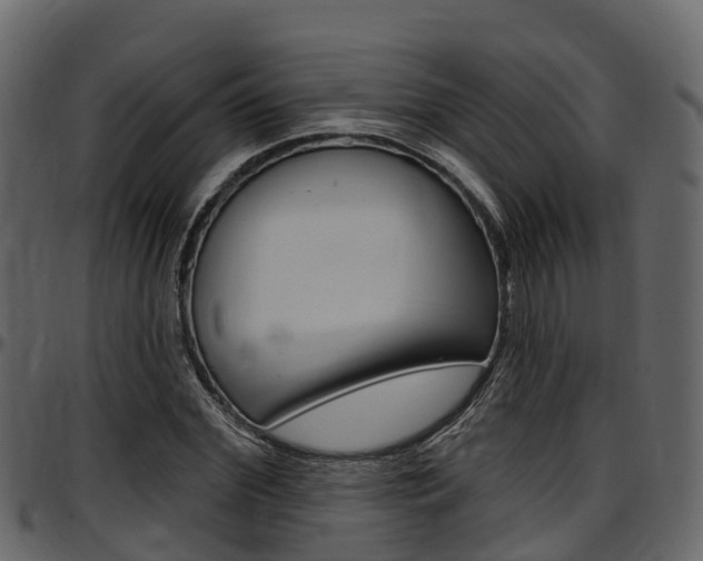 X0000097610972200802290752
