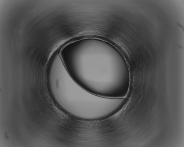 X0000097610973200802290752