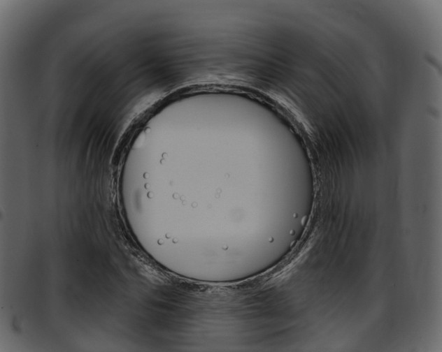 X0000097610974200802290752