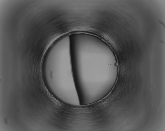 X0000097610976200802290752
