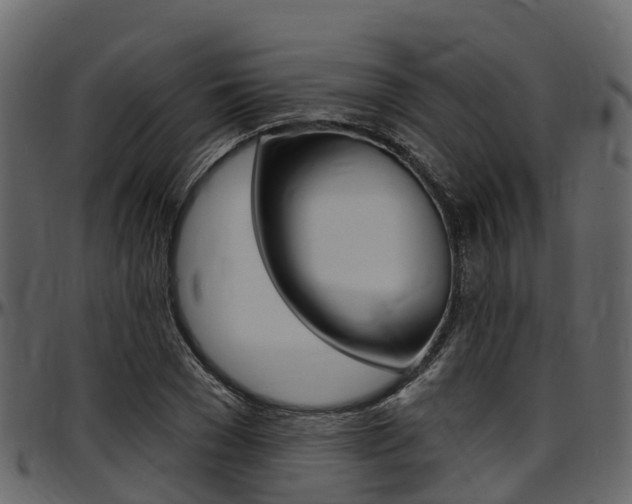 X0000097610977200802290752