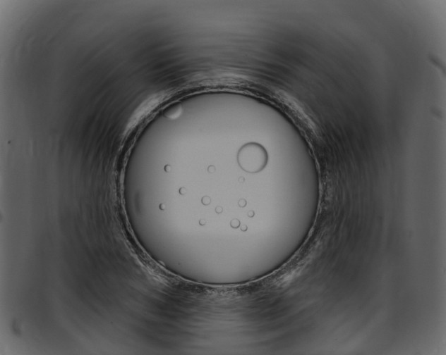 X0000097610978200802290752