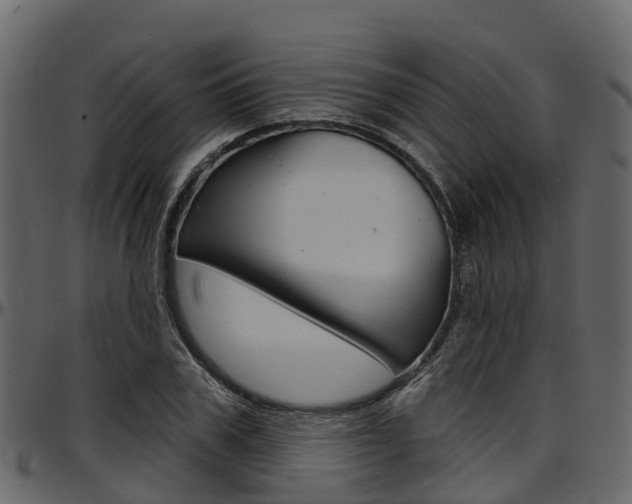 X0000097610979200802290752