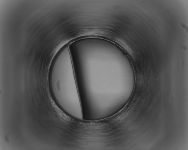 X0000097610980200802290752