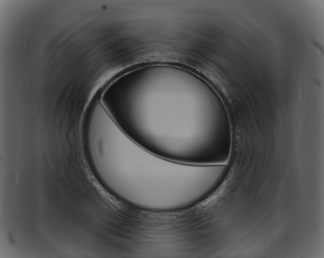 X0000097610981200802290752