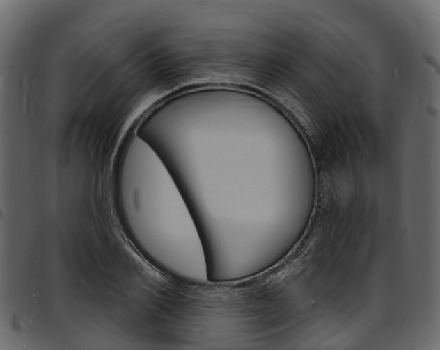 X0000097610982200802290752
