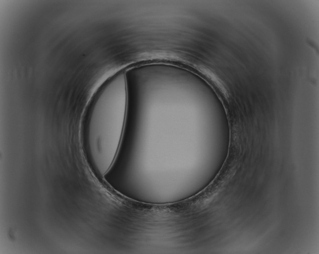X0000097610983200802290752
