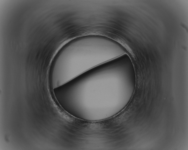 X0000097610984200802290752