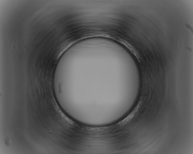 X0000097610985200802290752