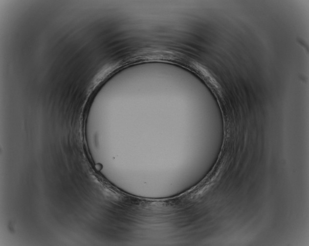 X0000097610986200802290752