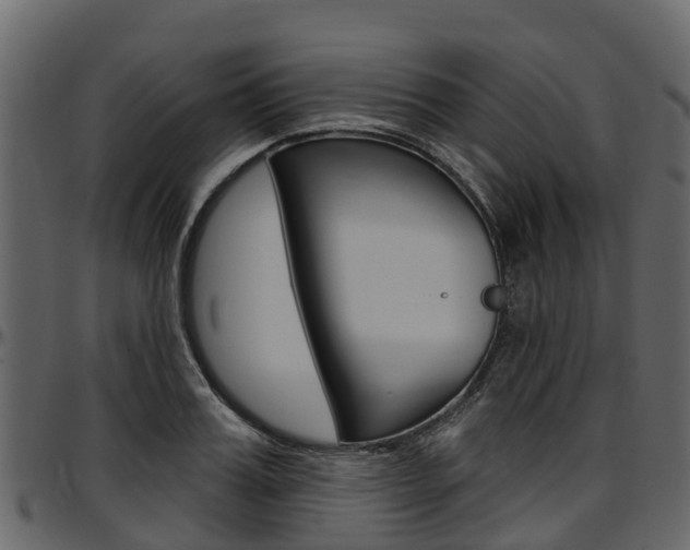 X0000097610987200802290752