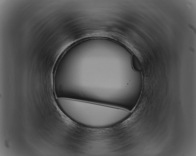 X0000097610988200802290752