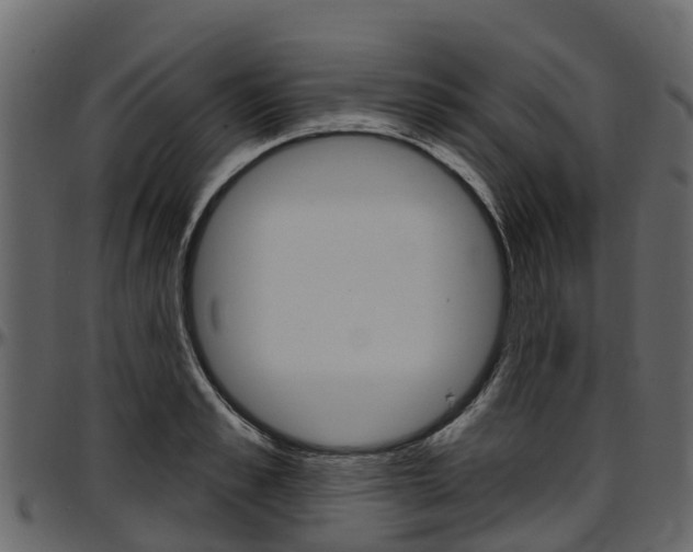 X0000097610989200802290752