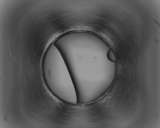 X0000097610990200802290752