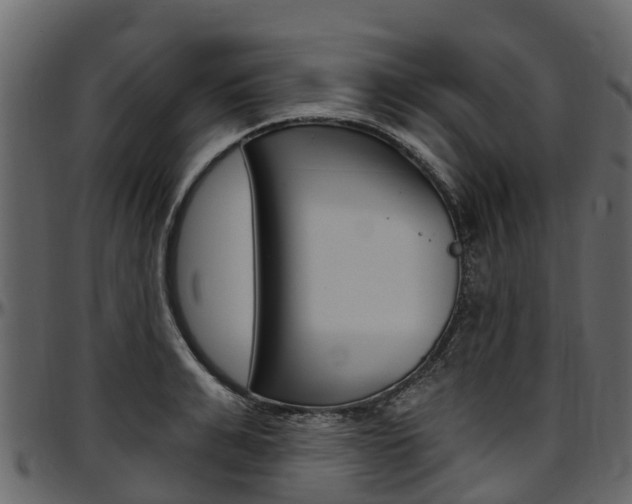 X0000097610991200802290752