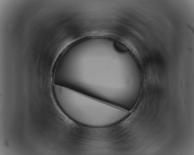 X0000097610992200802290752